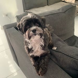 Meet your Posher, Michelle